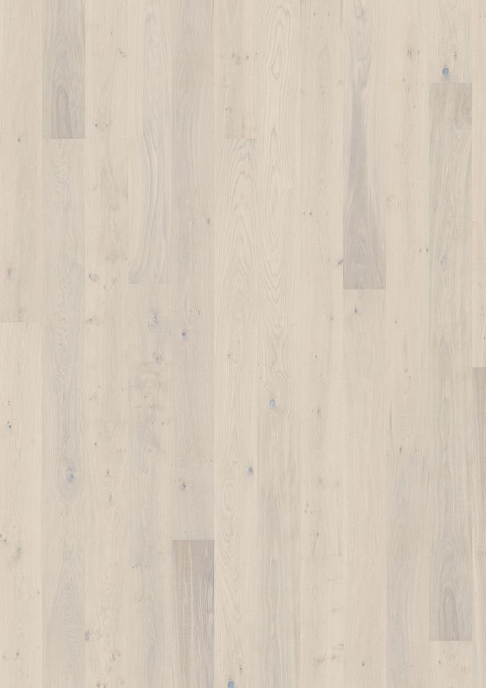 Oak Sky - Image 4