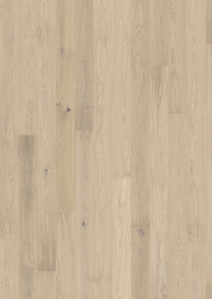 Oak Horizon - Image 4