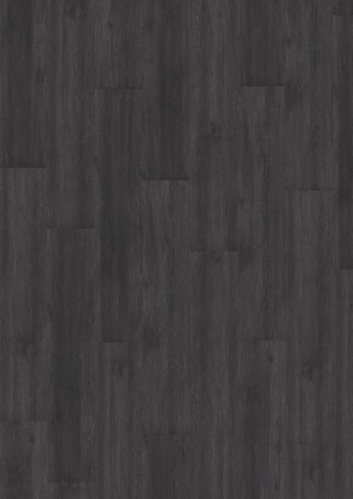 SCHWARZWALD - DRY BACK - Image 3